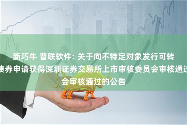 新巧牛 普联软件: 关于向不特定对象发行可转换公司债券申请获得深圳证券交易所上市审核委员会审核通过的公告