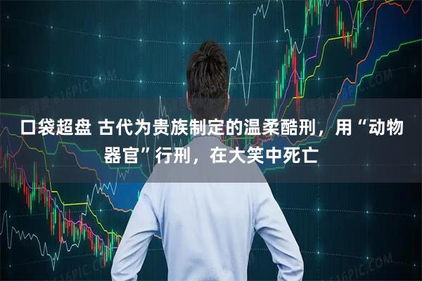口袋超盘 古代为贵族制定的温柔酷刑，用“动物器官”行刑，在大笑中死亡