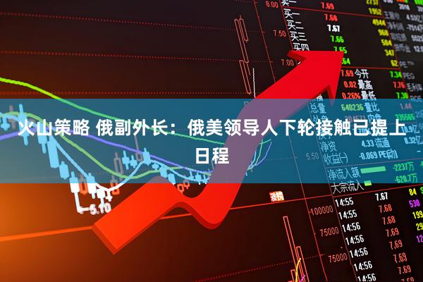 火山策略 俄副外长:俄美领导人下轮接触已提上日程